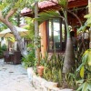 Отель Loc Phat Hoi An Homestay - Villa, фото 34