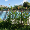 Отель Apartamento Vacacional excelente vista, фото 17