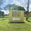 Отель Howler Monkey Resort, фото 28