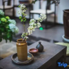 Отель Jianshui Hostel, фото 5