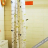 Отель Pod Inn Ningbo Tianyi Square East Branch, фото 1