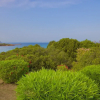 Отель Villa Plumbago 80mt From The Beach, фото 17