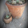 Отель Karoo Inn, фото 10