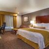 Отель Best Western Newport Mesa Hotel, фото 29