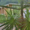 Отель Curve360 Hotel Khao Yai, фото 5