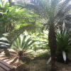 Отель Pousada Baia Das Conchas, фото 29