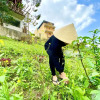 Отель Phong Nha Coco Riverside Homestay, фото 25