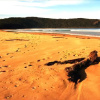 Отель Durras Lake North Holiday Park, фото 12