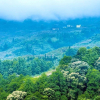 Отель Huangshan Castle In The Sky Hotel, фото 17