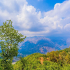 Отель OYO 14134 Home Devdar Cottage Kempty Road, фото 19