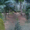 Отель swarna home stay, фото 3