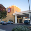 Отель Comfort Suites Fultondale I-65 near I-22, фото 26