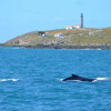 Отель pousada corais de abrolhos, фото 6