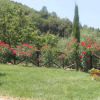 Отель House in the Cilento with Pool And Views of the Hills From the Large Terrace, фото 18