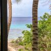 Отель One Ocean Boutique Apartments & Suites Bonaire, фото 9