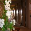 Отель Best Western Hotel Des Barolles - Lyon Sud, фото 16