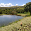 Отель Pousada Cachoeira Esmeralda, фото 7