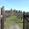 Отель Stallgården B&B, фото 14