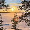 Отель Keskikallio. Nuasjarvi, фото 14