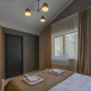Отель Bakuriani Resorts, фото 3