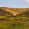 Отель Stylish 3-bed Cottage Located in the Cairngorms, фото 14