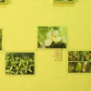 Отель Hostal Orquidea, фото 13