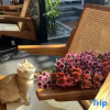 Отель Shaxi Ancient Town Xiyuan Boutique Homestay, фото 14