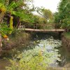 Отель Nature sprout's Bodhivann Jungle Camp, фото 11