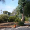 Отель House With 3 Bedrooms in Grimaud, With Wonderful sea View, Pool Access, фото 7