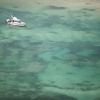 Отель AfroChic Diani Beach, фото 9