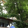 Отель Mola Marmara Adası, фото 11
