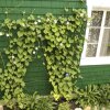 Отель Gîte la Bougie Verte, фото 7
