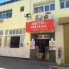 Отель Britânia Hotel, фото 1