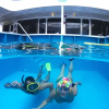 Отель Captain Cruises Fiji, Fiji Cruise line - All inclusive & Departs most, фото 10