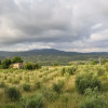 Отель Apartment Immersed in the Green of the Maremma, фото 14