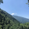 Отель Ayder Çalikuşu Bungalov, фото 8