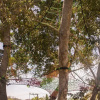 Отель El Refugio de Sayulita - Health and Wellness House, фото 29