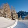 Отель Alpengasthof Köfels, фото 25