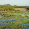 Отель Palo Verde Biological Station, фото 12