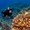 Отель Valley Isle 902 in Lahaina, фото 19