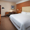 Отель Four Points by Sheraton Los Angeles International Airport (США), фото 4