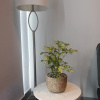 Отель Nuevo y Lujoso PH en Latitud Polanco, фото 12