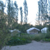 Отель TIH Desert Oasis Camp - Hunder, фото 6