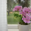 Отель Hagaborg Bed & Breakfast and Hostel, фото 8