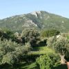 Отель Home with Small Pool, 37 Km From Athens, Easily Accessible by Public Transport, фото 6