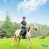 Отель Mogan Mountain · Suzhou Style Garden Hostel, фото 14
