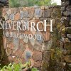 Отель Silverbirch @ Birchwood Hotel, фото 36