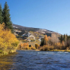 Отель New Listing! Sunlit Alpine W/ Firepit 3 Bedroom Duplex, фото 12
