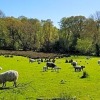 Отель Mountain View Bed & Breakfast, Kenmare, Co. Kerry, Ireland, фото 15