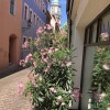 Отель Stadthaus Rosengasse, фото 1